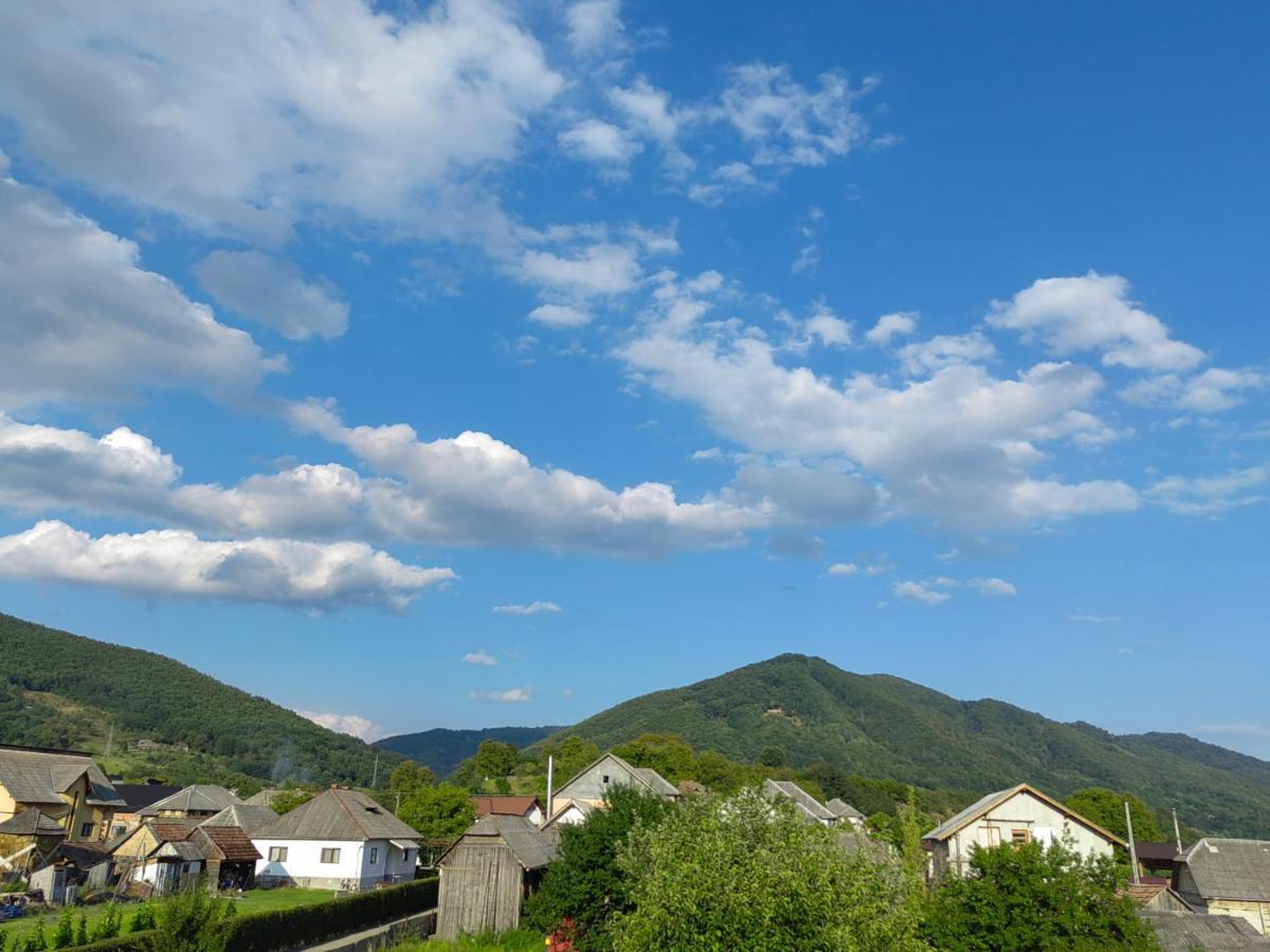 Casa Boila 호텔 Bîrsana 외부 사진