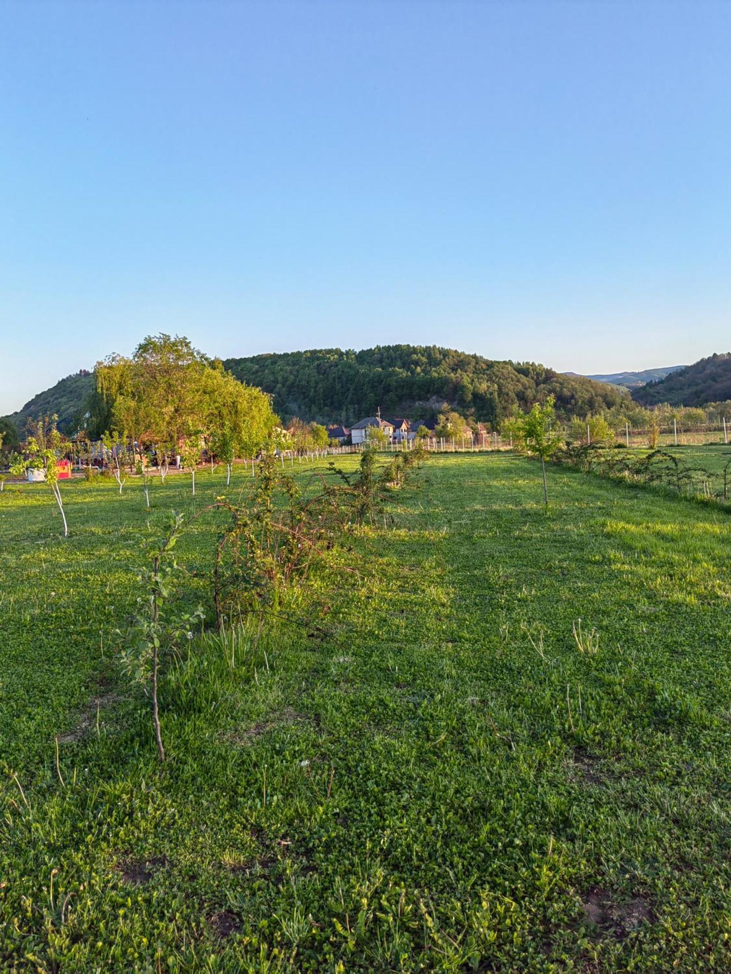 Casa Boila 호텔 Bîrsana 외부 사진